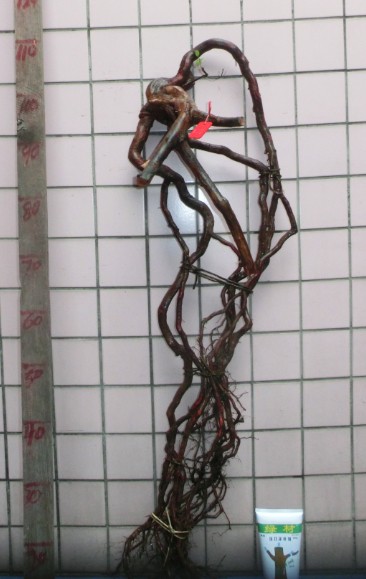 QQͼƬ20140302101158.jpg