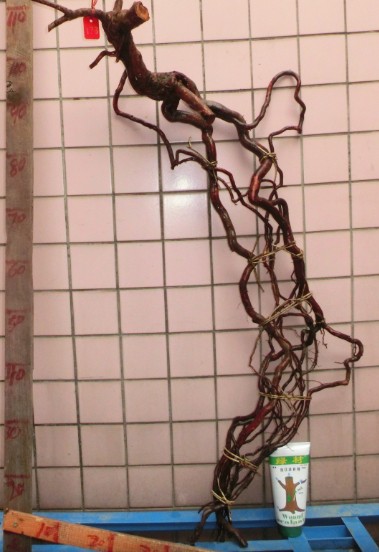 QQͼƬ20140302101218.jpg
