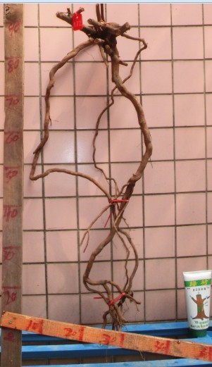 QQͼƬ20140302101232.jpg