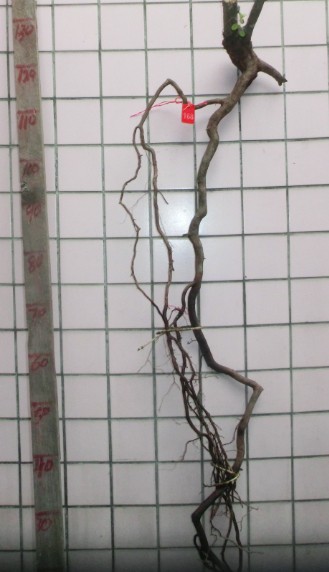 QQͼƬ20140302101246.jpg