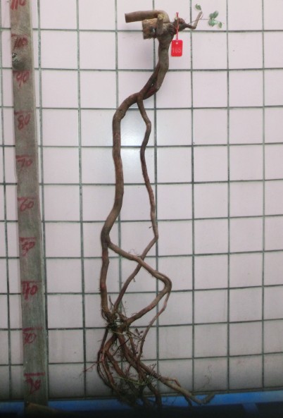 QQͼƬ20140302101250.jpg