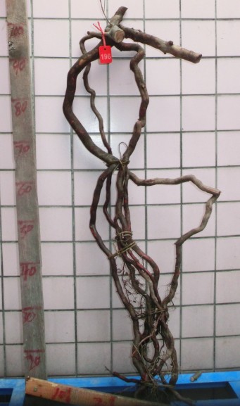 QQͼƬ20140302101254.jpg