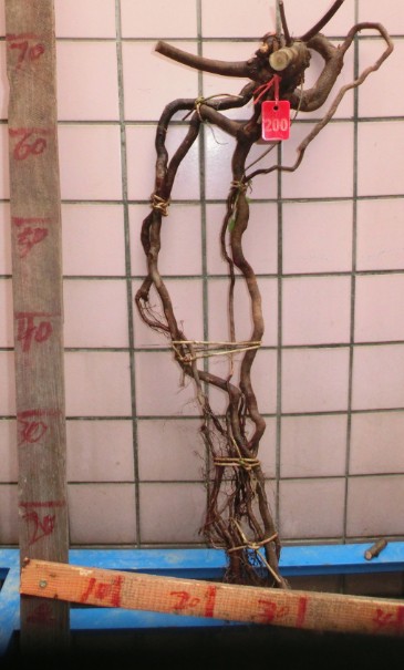 QQͼƬ20140302101302.jpg