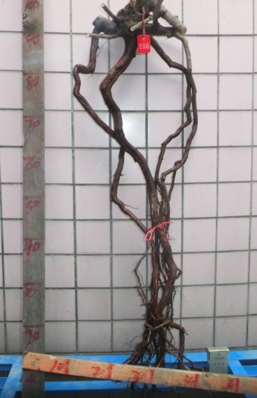 QQͼƬ20140302101306.jpg