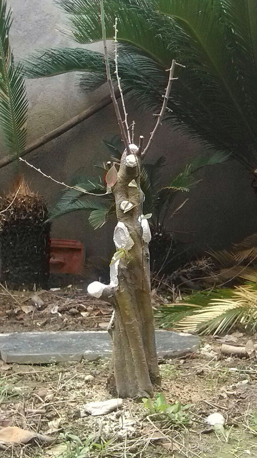 QQͼƬ20140302183317.jpg