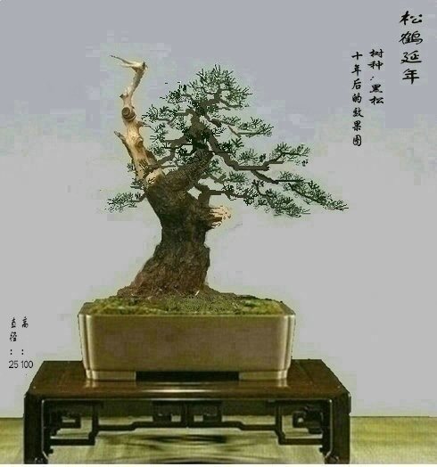 0.jpg