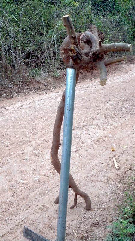 2014-03-02_10-18-23_842_conew1.jpg