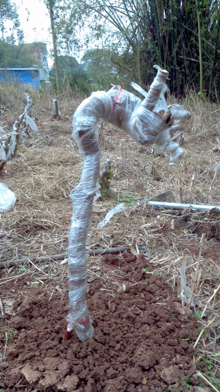 2014-03-02_11-32-30_268_conew1.jpg