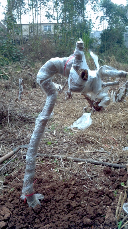 2014-03-02_11-32-42_903_conew1.jpg