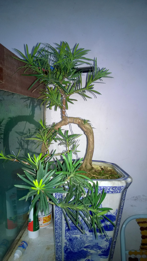 WP_20140303_12_19_18_Pro_.jpg