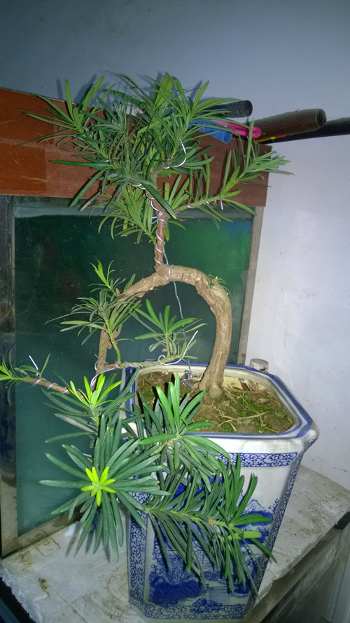 WP_20140303_12_22_25_Pro_.jpg