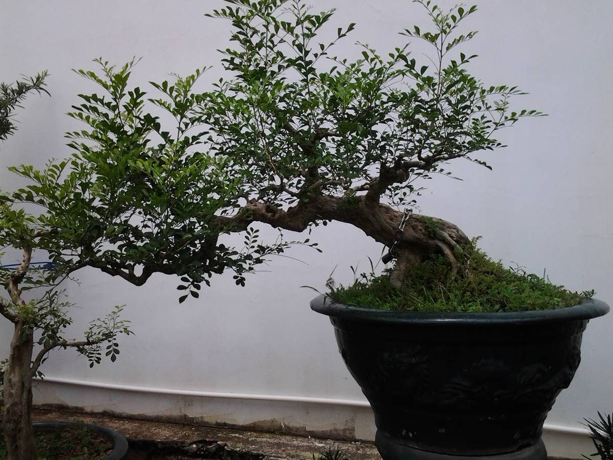 2013-06-01 13.30.50.jpg