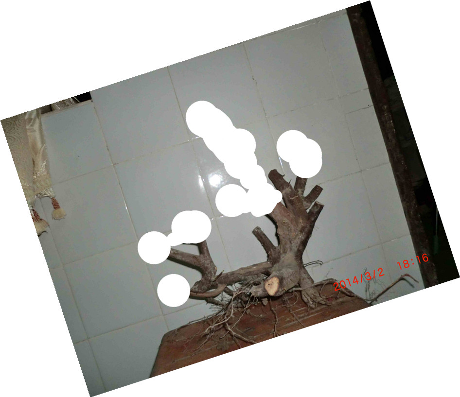 CIMG09752_.jpg