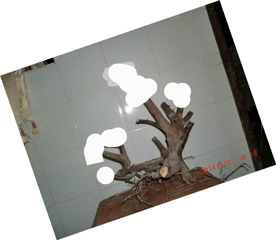 CIMG09753_.jpg