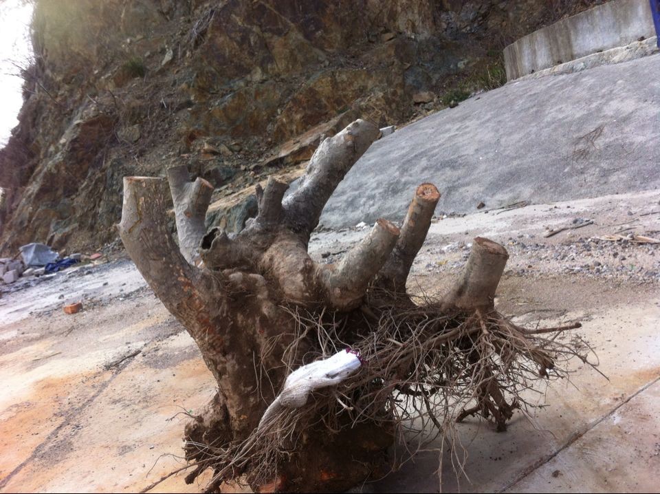 QQͼƬ20140303174201.jpg