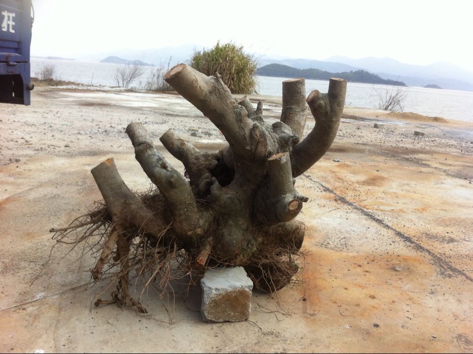 QQͼƬ20140303174214.jpg