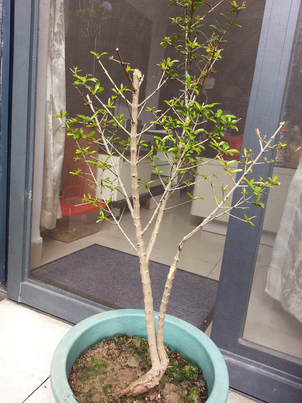 20140301_110253_.jpg