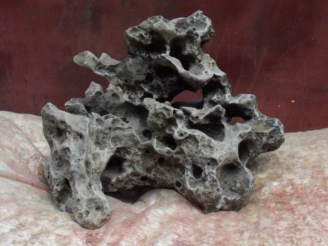 С SDC10827.JPG