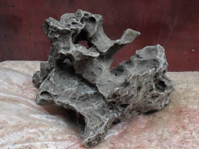 С SDC10833.JPG