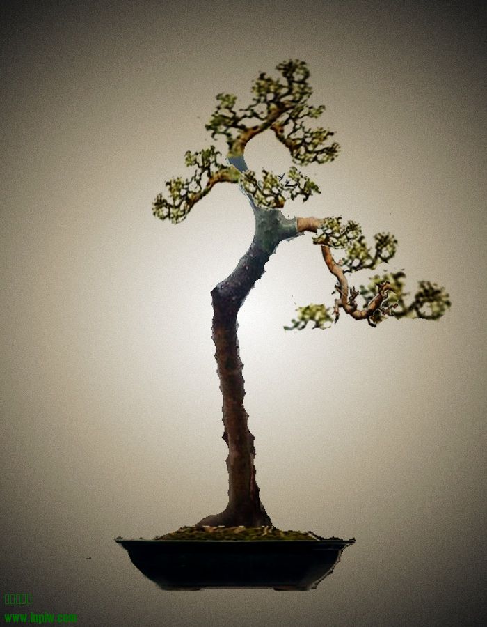 δ-1.jpg
