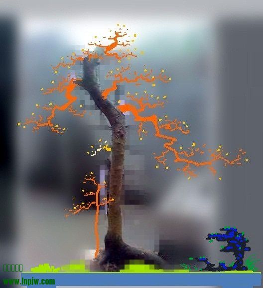 360ͼ20140303210815915 - _ - _ -  .jpg