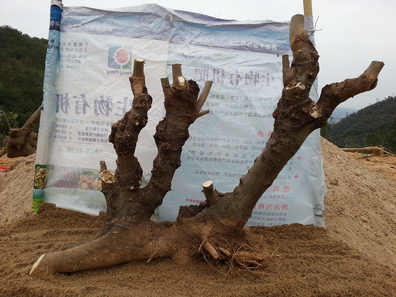 20140302_124600.jpg