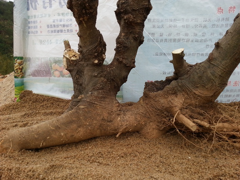 20140302_124650.jpg