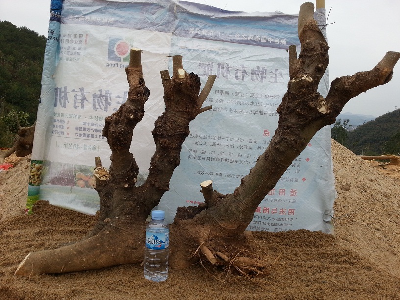 20140302_124705.jpg