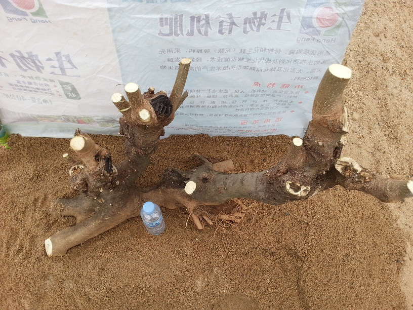 20140302_124713.jpg