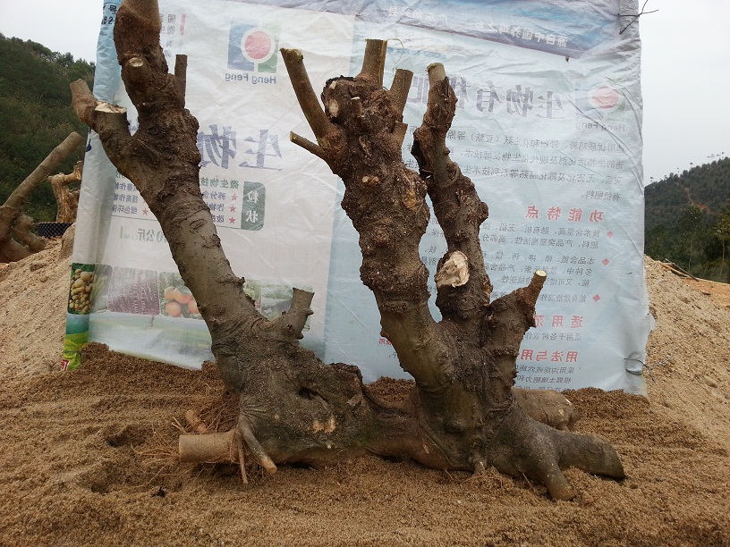 20140302_124759.jpg