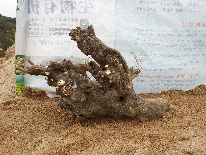 20140302_130523.jpg