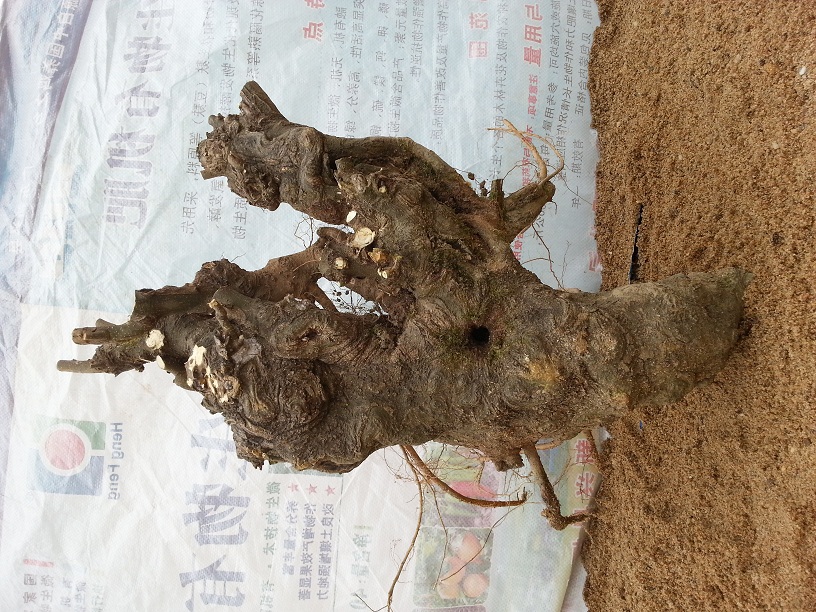 20140302_130620.jpg