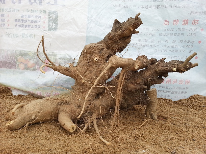 20140302_130802.jpg