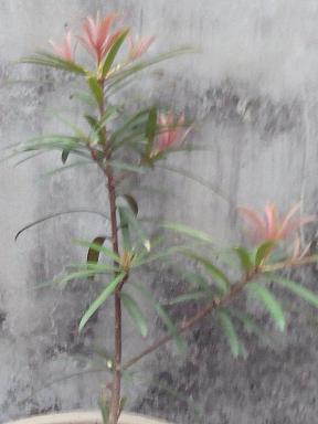 IMG20140304180925.jpg