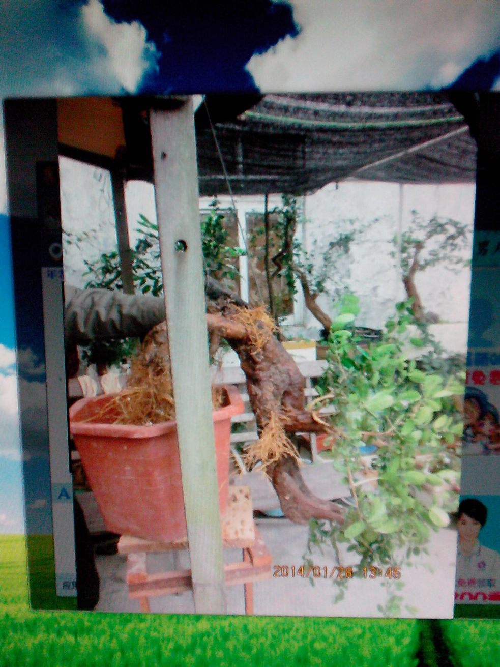 IMG20140227004.jpg