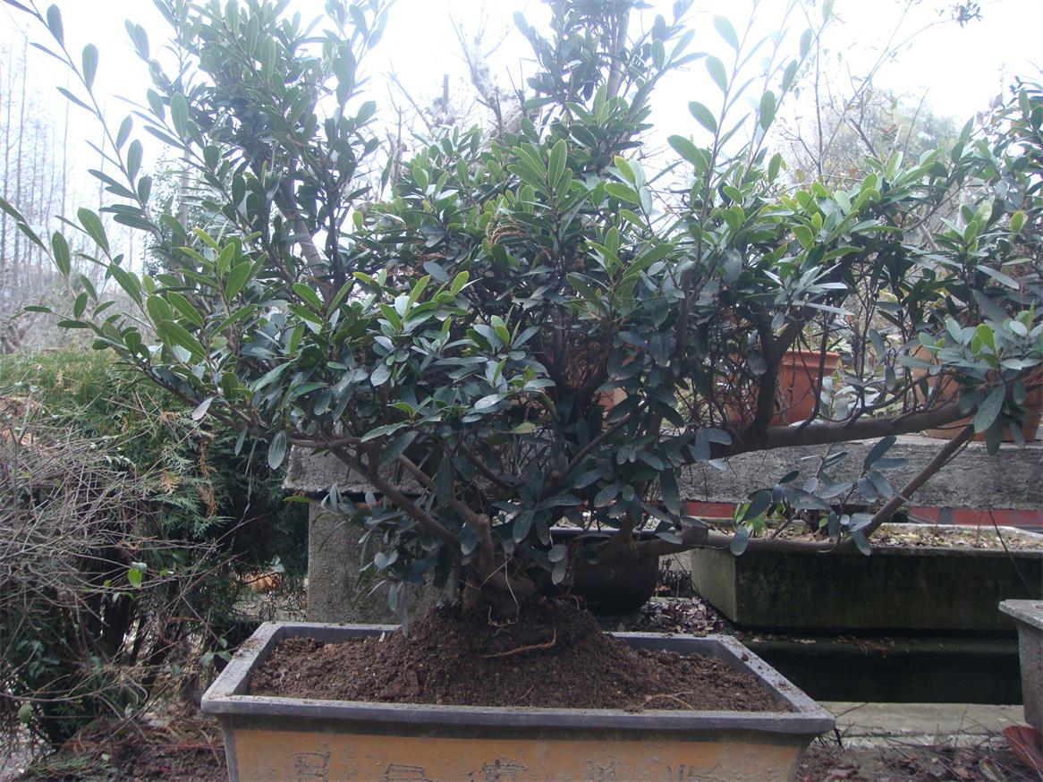 DSC06796_ͼ.jpg