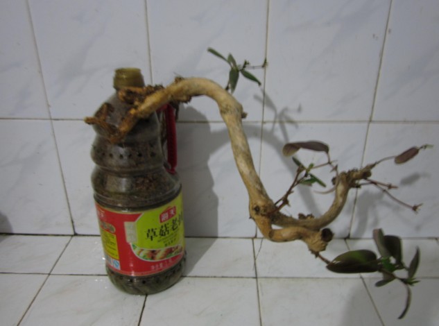 QQͼƬ20140305204808.jpg
