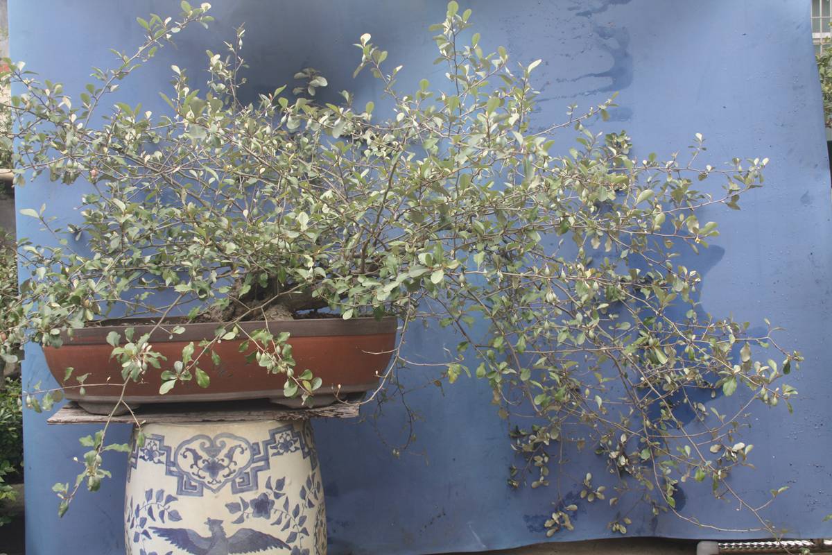Ƭ20131026ۺ 847.jpg
