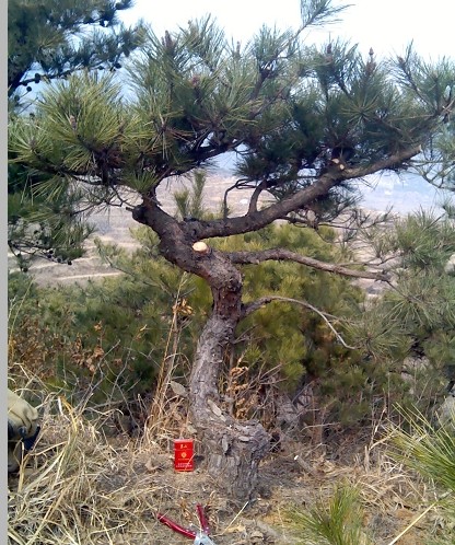 QQͼƬ20140307081253.jpg