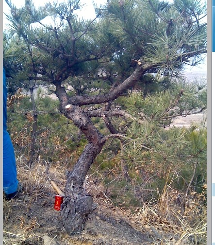 QQͼƬ20140307081258.jpg