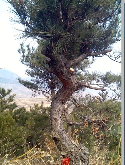 QQͼƬ20140307081310.jpg