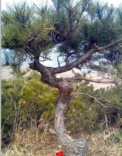 QQͼƬ20140307081338.jpg