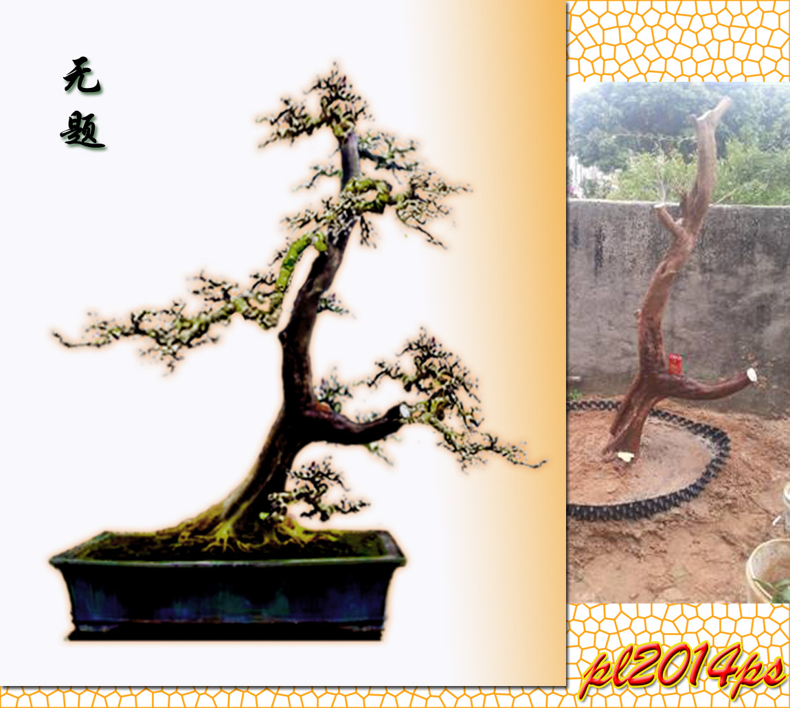 pl2014ps_3_11271.jpg