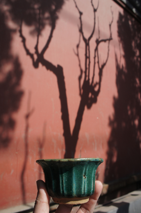 DSC04071.JPG