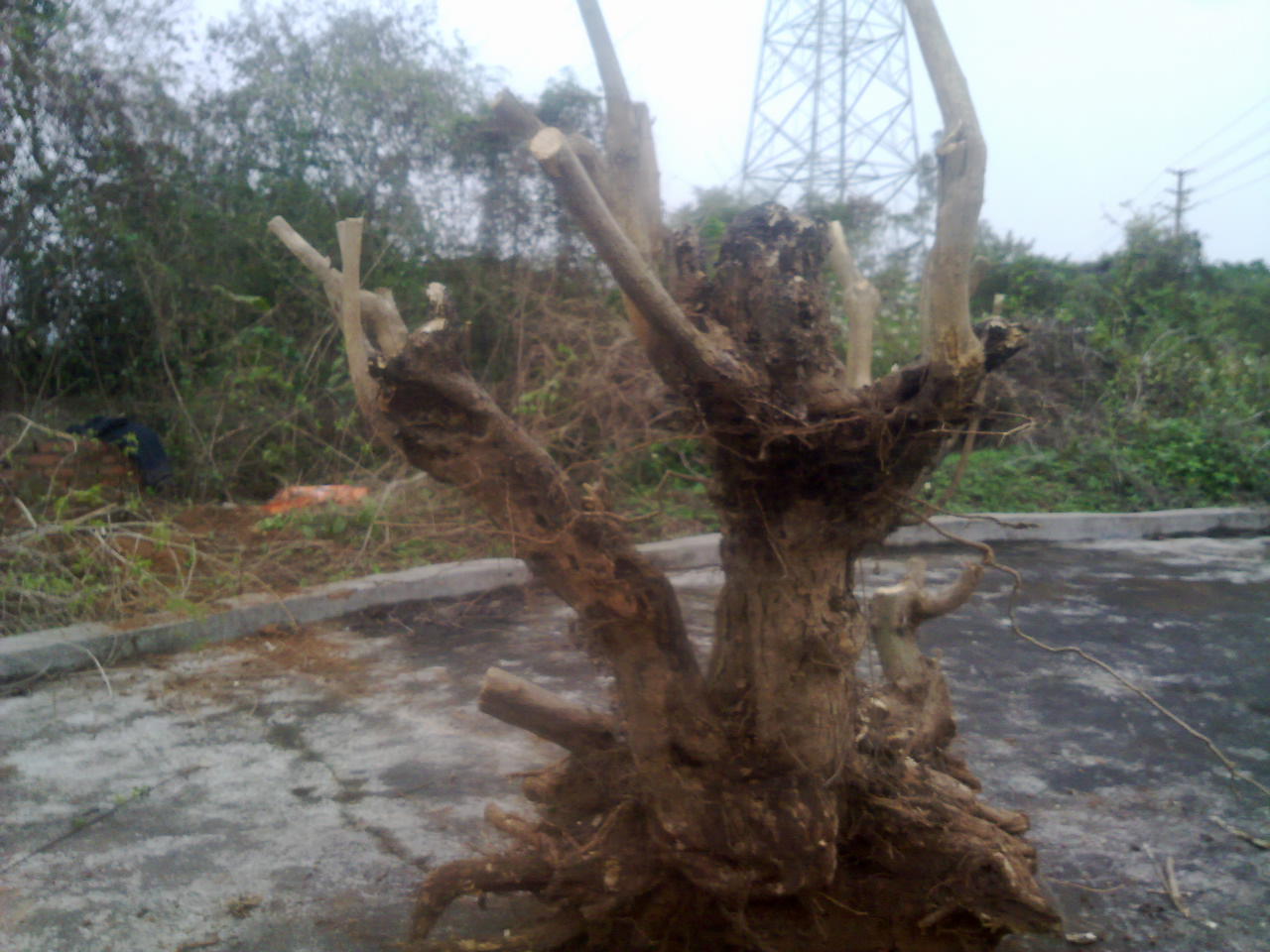 201403071608.jpg
