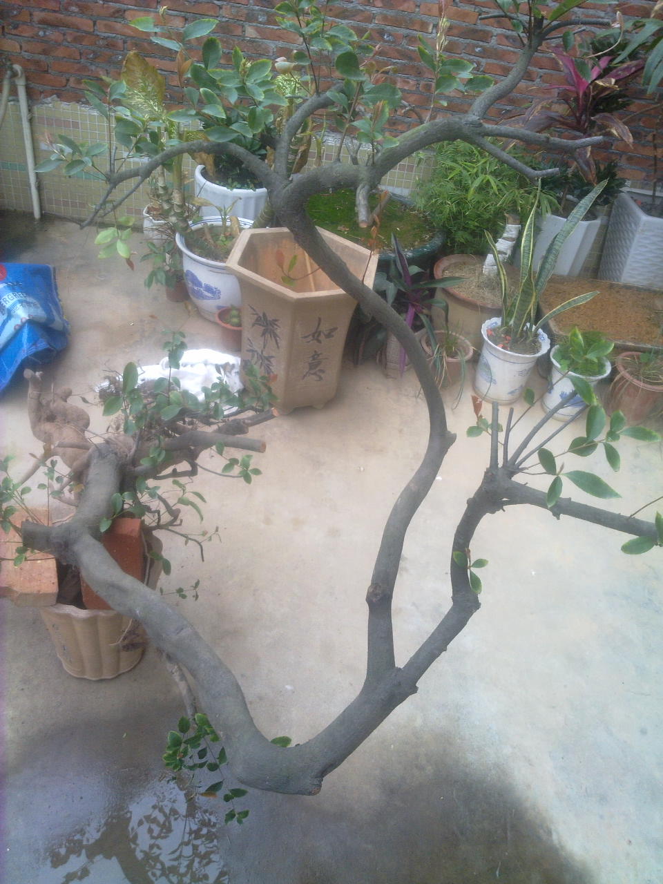 201403031598.jpg