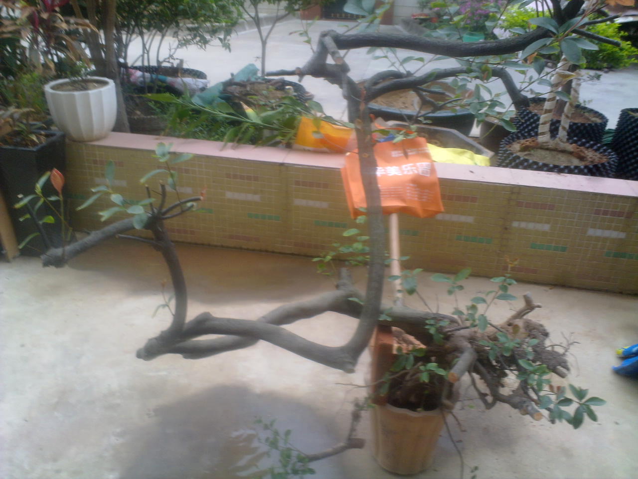 201403031599.jpg
