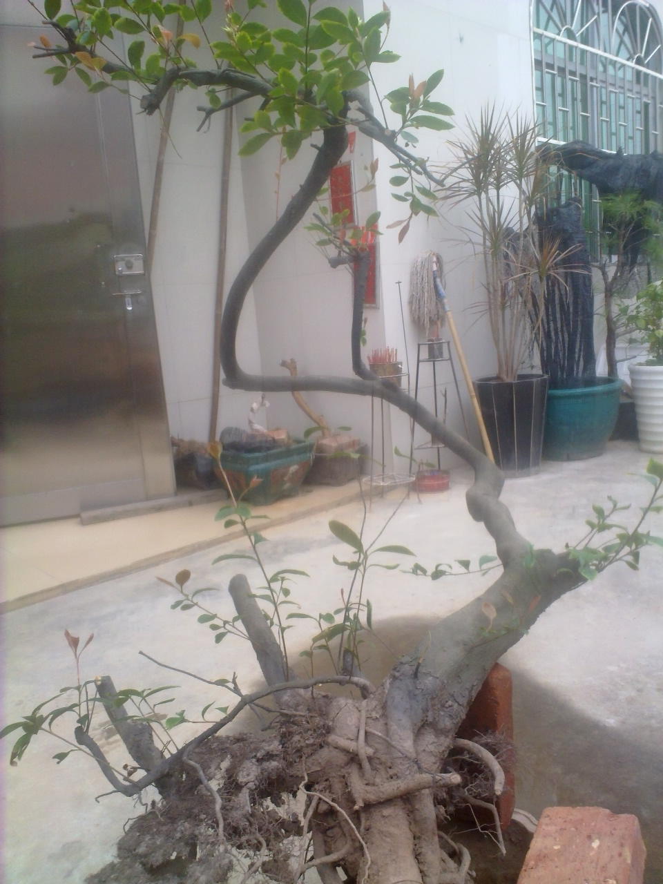 201403031600.jpg