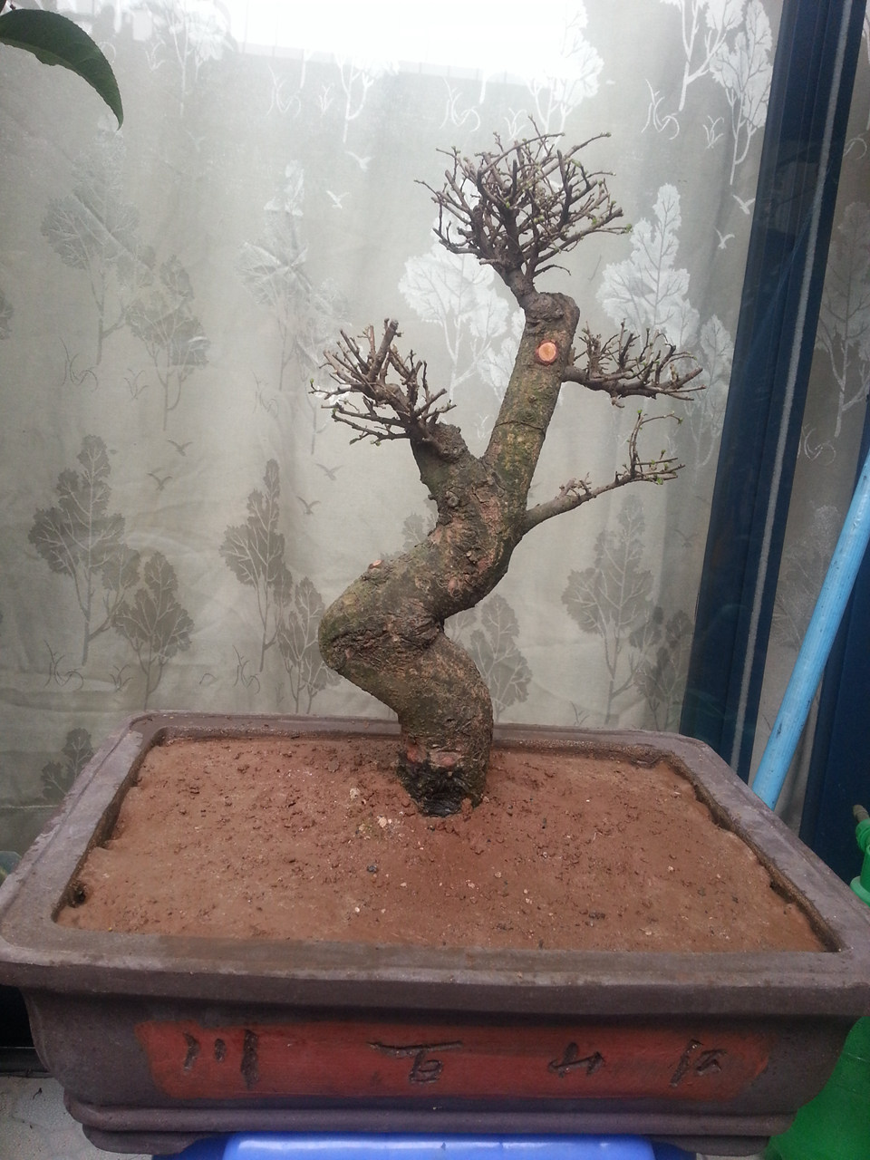 20140228_133457_.jpg