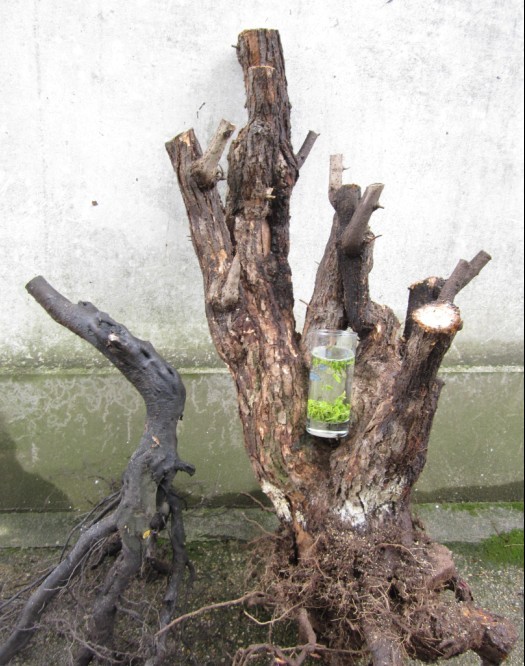 QQͼƬ20140308175237.jpg